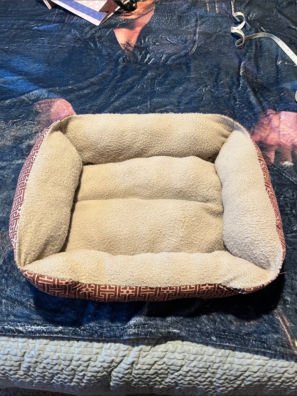 Luxury Small Pet Bed in Cream with Brown Trim